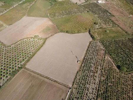 Detached Fertile Bargain Land For Sale In Ortaca Mergenli