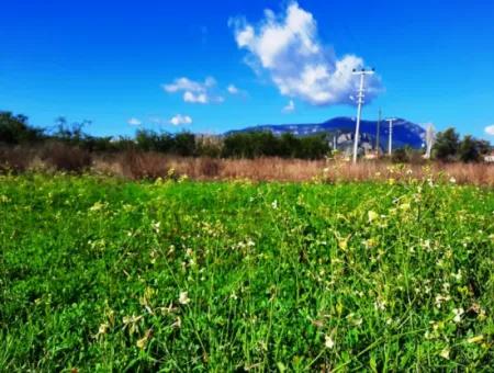 Mugla Ortaca Dalyan Is Also Fertile Land Suitable For 9 300 M2 Investment With Road Facades For Sale