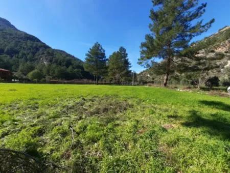 Mergenli For Sale In Ortaca Mountain Zero-Investment A Bargain Suitable Land