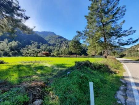 Mergenli For Sale In Ortaca Mountain Zero-Investment A Bargain Suitable Land