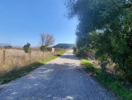 Mugla Ortaca Güzelyurt Sarıgerme Road Facing 2256 M2 Field For Sale