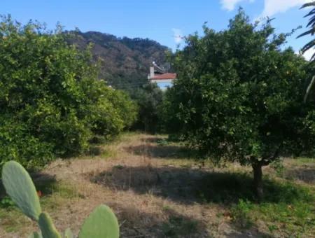 3 Plots Of Land For Sale In The Center Of Ortaca, Facing The Dalaman-Fethiye Road