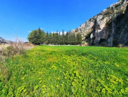 Mugla Dalyan 3500 M2 Land 120 M2 Single Storey Detached House For Sale