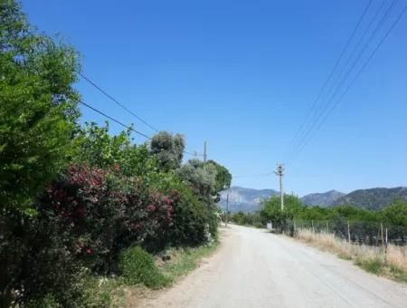 Bargain 560 M2 Plot For Sale In Muğla Ortaca Çaylı