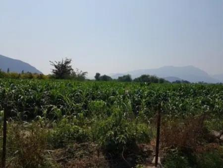 Detached 15000 M2 Fertile Land For Sale In Mugla Ortaca Archers