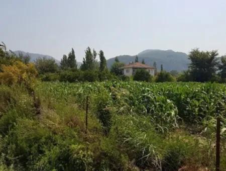 Detached 15000 M2 Fertile Land For Sale In Mugla Ortaca Archers