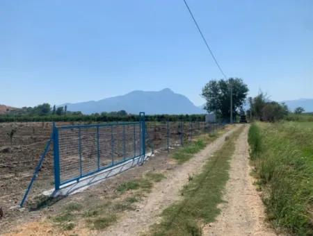 7300 M2 Lemon Field For Sale In Mugla Ortaca Tepearasi