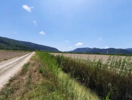 Fertile Land For Rent In Ortaca Güzelyurt