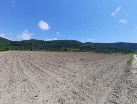 Fertile Land For Rent In Ortaca Güzelyurt