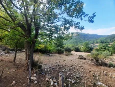 Mugla Dalyan Gökbel 320 M2 Bargain Land For Sale