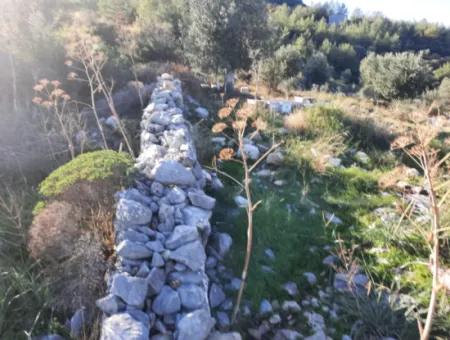 Olive Grove With Sea And Nature View In Ortaca Fevziye For Sale