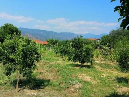 Village House For Sale In Mugla Köyceğiz Dögüsbelen