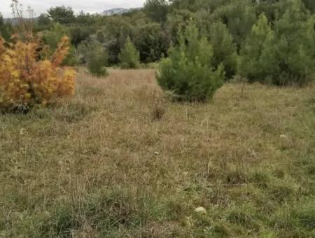 30949 M2 Fertile Field For Sale In Mugla Dalaman Gürleyik