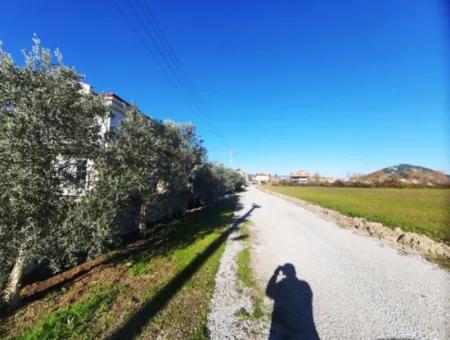 Mugla Dalyan 537 M2 Zoning Residential Land For Sale