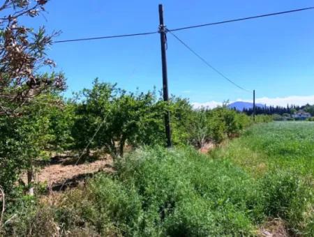 1 000 M2 Land With 250 M2 Construction Permit For Sale In Ortaca Fevziye