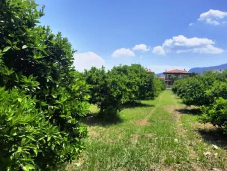 722 M2 Zoned Detached Land For Sale In Dalyan, Muğla