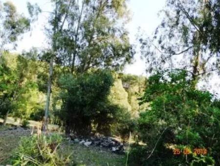 600 M2 Sea View Garden For Sale In Mugla Fethiye Eldirek