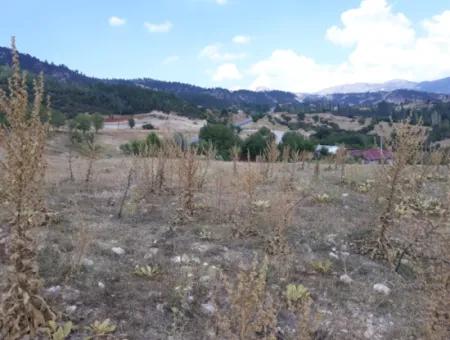 Denizli -Çameli- Belevi Mah. Highway Side 500 M2 Zoned Land For Sale