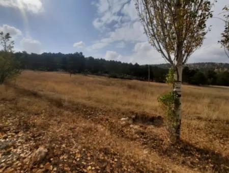 6 230 M2 Detached Land For Sale Or Exchange On The Old Acıpayam Road In Çameli Cumanda