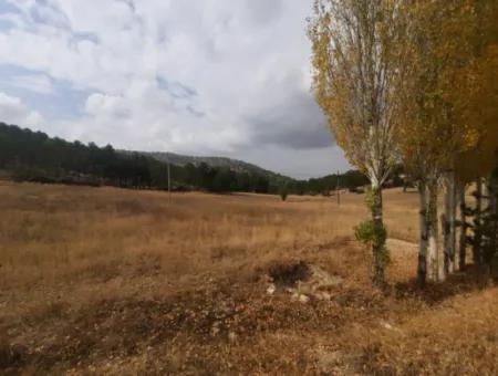 6 230 M2 Detached Land For Sale Or Exchange On The Old Acıpayam Road In Çameli Cumanda