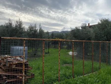 Muğla Ortaca Karaburun Mah 600 M2 Land For Sale