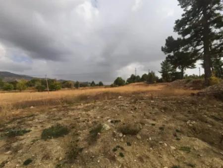 6 230 M2 Fertile Land For Rent In Çameli Cumaalanı