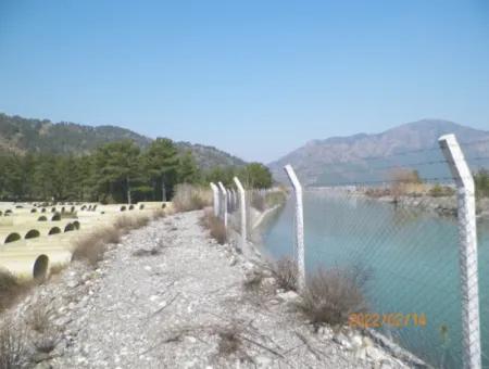 20,498 M2 Fertile, Water's Edge, Bargain Field For Sale In Ortaca Çaylı, Muğla