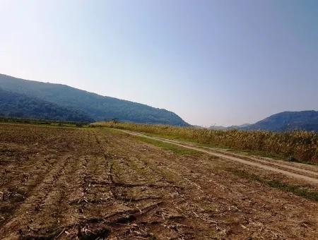 Region Of Fertile Land Rental