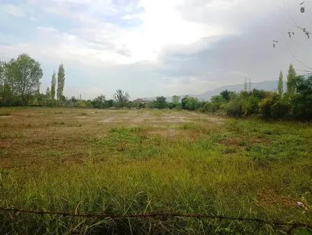 Suitable Land For Investment For Sale In Fire