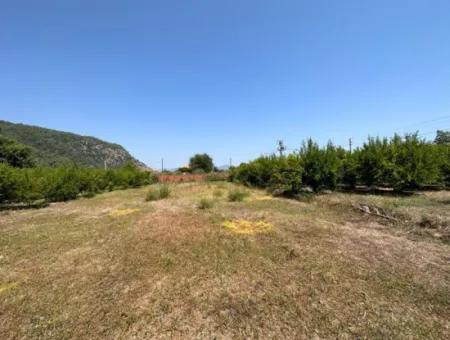 500 M2, 250 M2 Land With Construction Right For Sale In Ortaca Mergenli