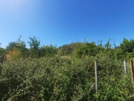 Muğla Ortaca Çaylıda 600 M2 Residential Zoned Bargain Land For Sale