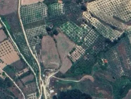 6350 M2 Field For Sale In Muğla Menteşe Kafaca