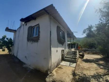 4 000 M2 Detached Land 3 Village House For Sale In Köyceğiz Kavakası