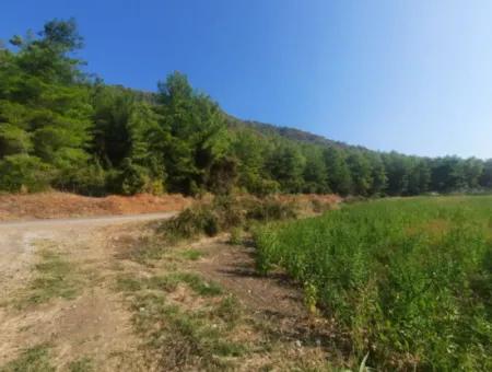 16.373 M2 Fertile Land For Sale In Muğla Ortaca Ekşiliyurt