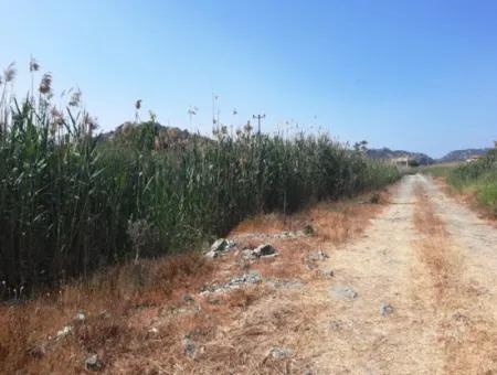 14.300 M² Rental Land In Ortaca Sarıgerme, Muğla – Suitable For Tourism And Commercial Investment