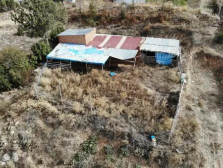 5 000 M2 Land In Çameli Kızılyaka 2 In 1 Detached House, And Barn For Rent