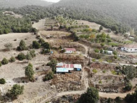 5 000 M2 Land In Çameli Kızılyaka 2 In 1 Detached House, And Barn For Rent