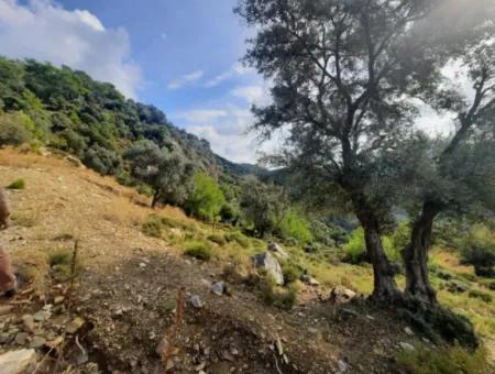 Muğla Dalyan Gökbelde 7 270 M2 Detached Title Deed Sea And Lake View Land For Sale