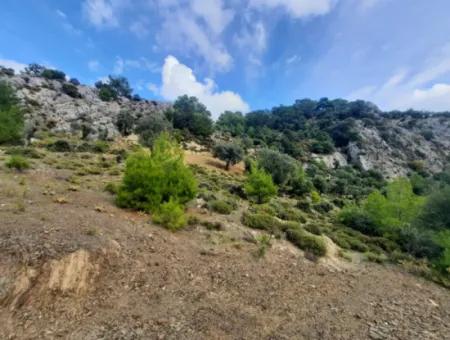 Muğla Dalyan Gökbelde 7 270 M2 Detached Title Deed Sea And Lake View Land For Sale