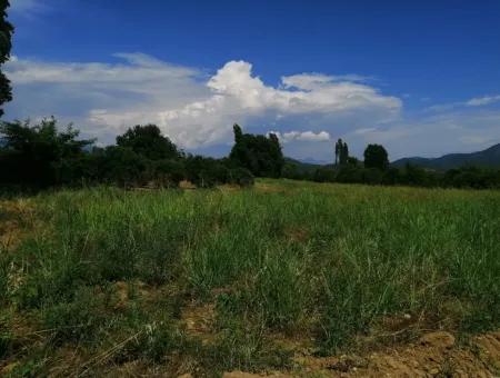 Farm For Sale In Köyceğiz Beyoba Bargain