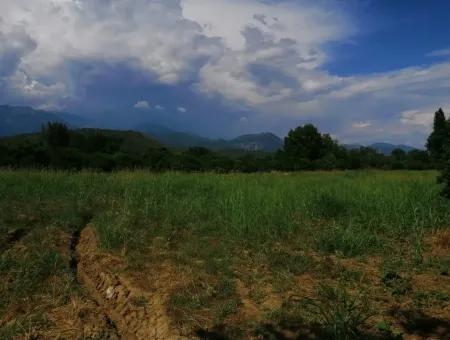 Farm For Sale In Köyceğiz Beyoba Bargain