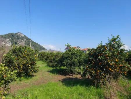 722 M2 Zoned Detached Land For Sale In Dalyan, Muğla