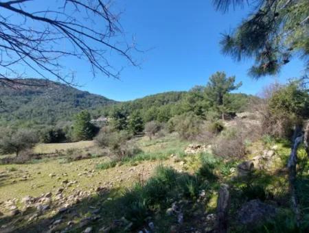 2 400 M2 Field For Sale In Muğla Ortaca Gökbelde Nature