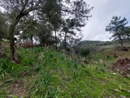 Ortaca Gökbelde Detached Nature In 626M2 Land For Sale