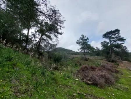 Ortaca Gökbelde Detached Nature In 626M2 Land For Sale