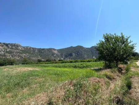 970 M2 Rızai Taksimli Share For Sale In Dalyan