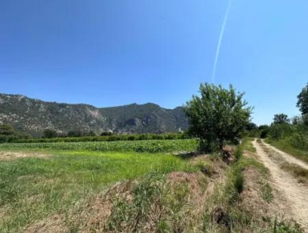 970 M2 Rızai Taksimli Share For Sale In Dalyan