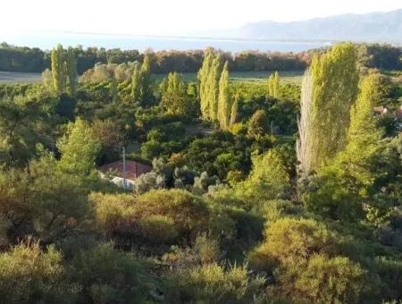 Garden For Sale In Köyceğiz Village