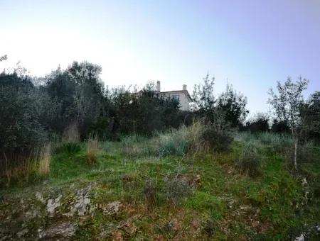 Residential Plot For Sale At Bargain Ula Esentepe