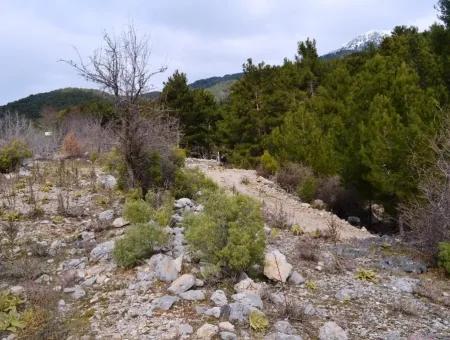 For Sale Bargain Land In Fethiye Ta Sty